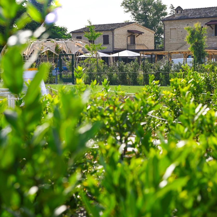 Moretti Village - Sophie Rooms Country House Civitanova Marche Extérieur photo